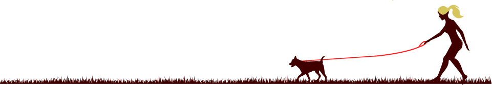 Silhouette of person with dog